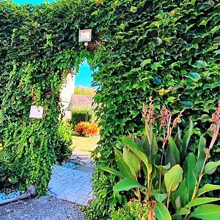 Chez Pierre Bed & Breakfast Remoncourt