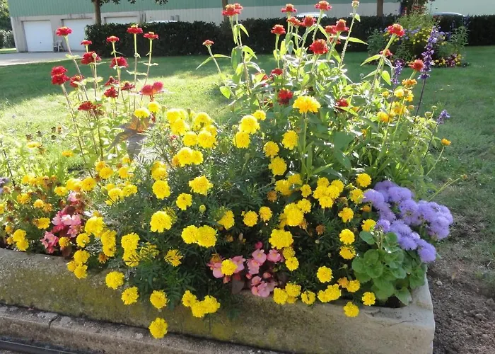 Chez Pierre Bed & Breakfast